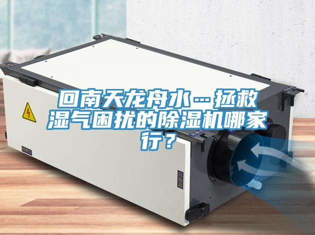 回南天龍舟水…拯救濕氣困擾的除濕機哪家行？