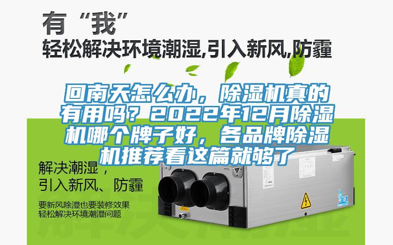 回南天怎么辦，除濕機真的有用嗎？2022年12月除濕機哪個牌子好，各品牌除濕機推薦看這篇就夠了