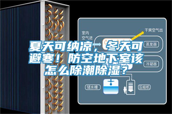 夏天可納涼，冬天可避寒！防空地下室該怎么除潮除濕？