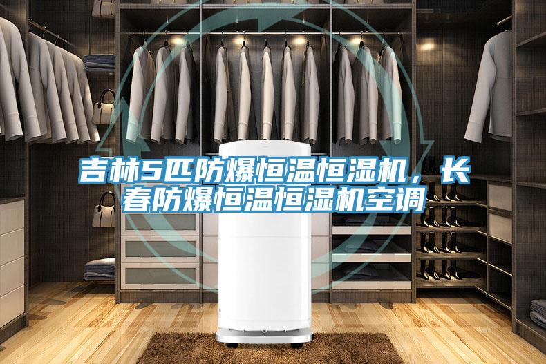 吉林5匹防爆恒溫恒濕機(jī)，長春防爆恒溫恒濕機(jī)空調(diào)