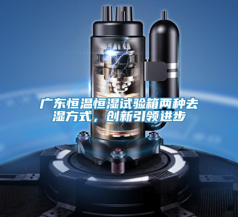 廣東恒溫恒濕試驗箱兩種去濕方式，創(chuàng)新引領(lǐng)進(jìn)步