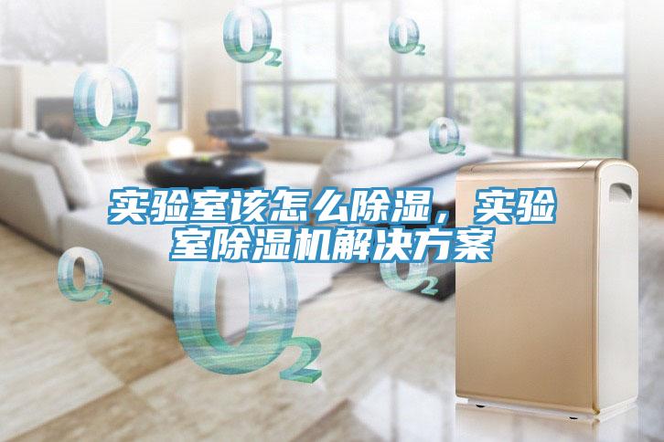 實驗室該怎么除濕，實驗室除濕機解決方案