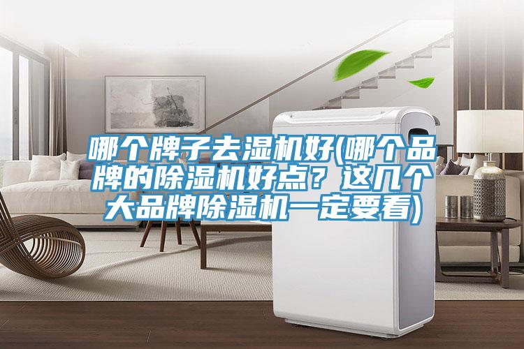 哪個牌子去濕機好(哪個品牌的除濕機好點？這幾個大品牌除濕機一定要看)