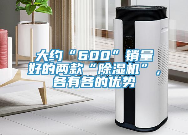 大約“600”銷量好的兩款“除濕機(jī)”，各有各的優(yōu)勢