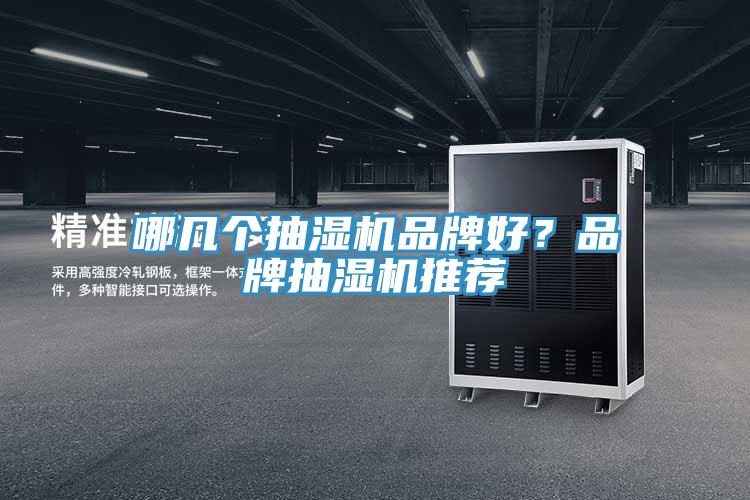 哪幾個抽濕機(jī)品牌好？品牌抽濕機(jī)推薦