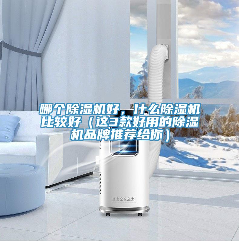 哪個除濕機(jī)好，什么除濕機(jī)比較好（這3款好用的除濕機(jī)品牌推薦給你）