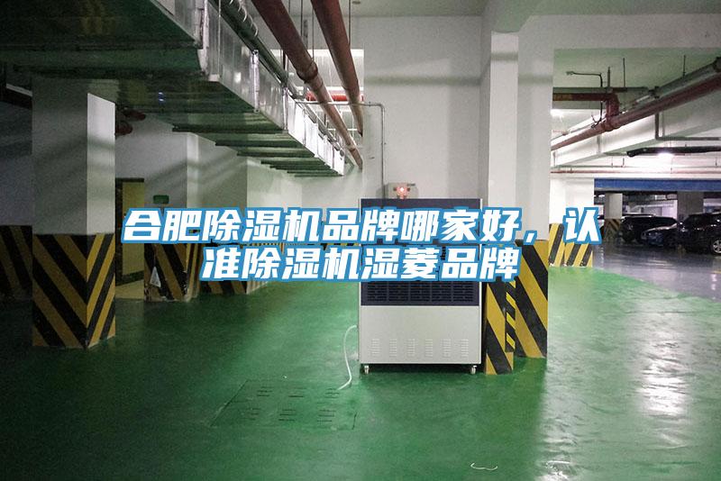合肥除濕機(jī)品牌哪家好，認(rèn)準(zhǔn)除濕機(jī)濕菱品牌