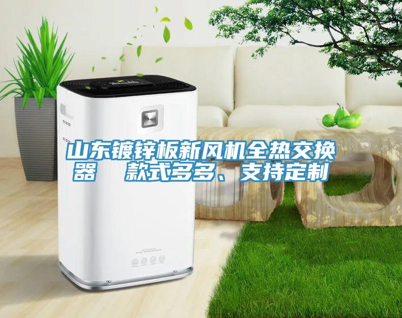 山東鍍鋅板新風(fēng)機(jī)全熱交換器  款式多多、支持定制