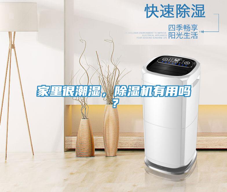 家里很潮濕，除濕機有用嗎？