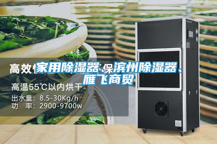 家用除濕器、濱州除濕器、雁飛商貿(mào)