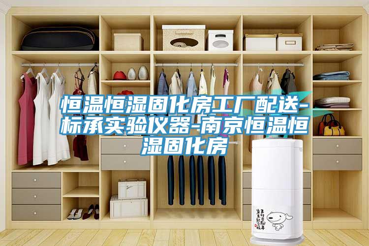 恒溫恒濕固化房工廠(chǎng)配送-標(biāo)承實(shí)驗(yàn)儀器-南京恒溫恒濕固化房