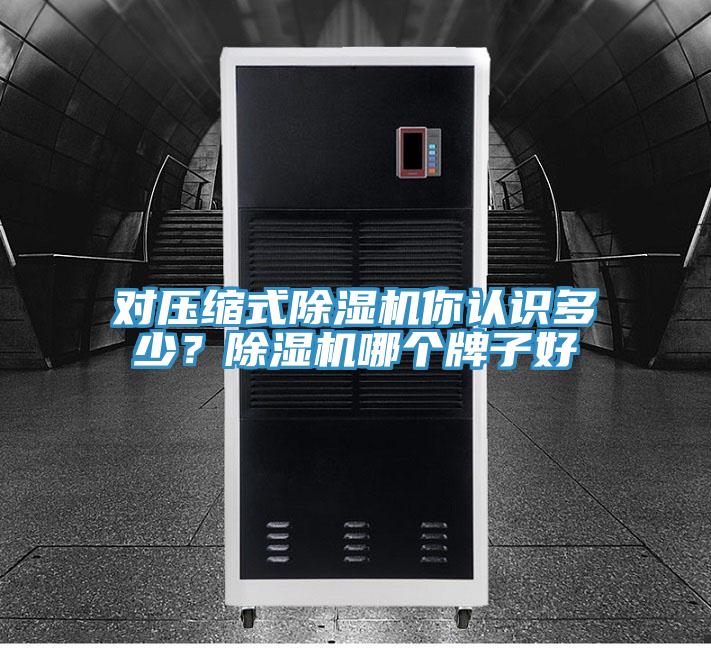 對壓縮式除濕機(jī)你認(rèn)識多少？除濕機(jī)哪個牌子好