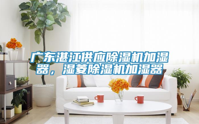 廣東湛江供應(yīng)除濕機(jī)加濕器，濕菱除濕機(jī)加濕器