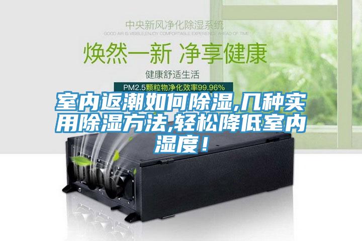 室內(nèi)返潮如何除濕,幾種實用除濕方法,輕松降低室內(nèi)濕度！