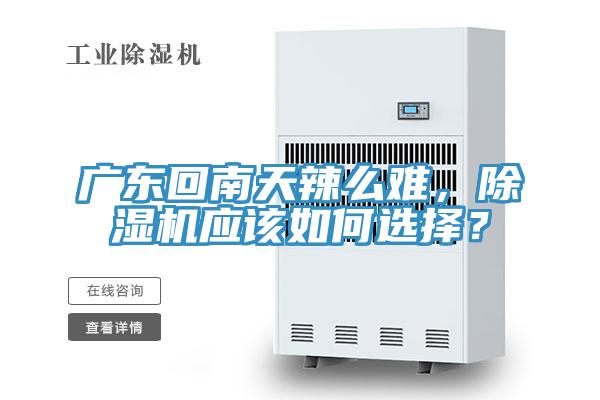 廣東回南天辣么難，除濕機應(yīng)該如何選擇？