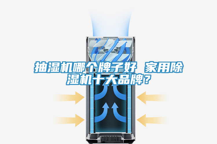 抽濕機哪個牌子好 家用除濕機十大品牌？