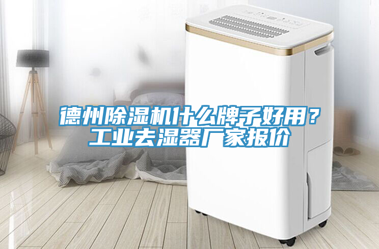 德州除濕機(jī)什么牌子好用？工業(yè)去濕器廠家報價