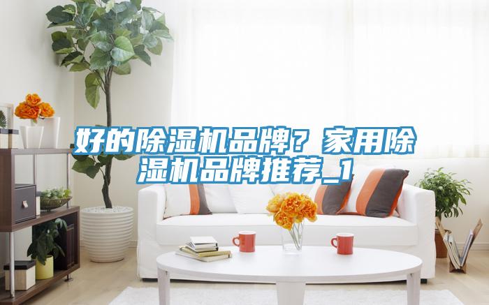 好的除濕機品牌？家用除濕機品牌推薦_1