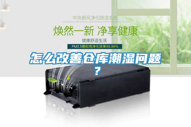 怎么改善倉庫潮濕問題？
