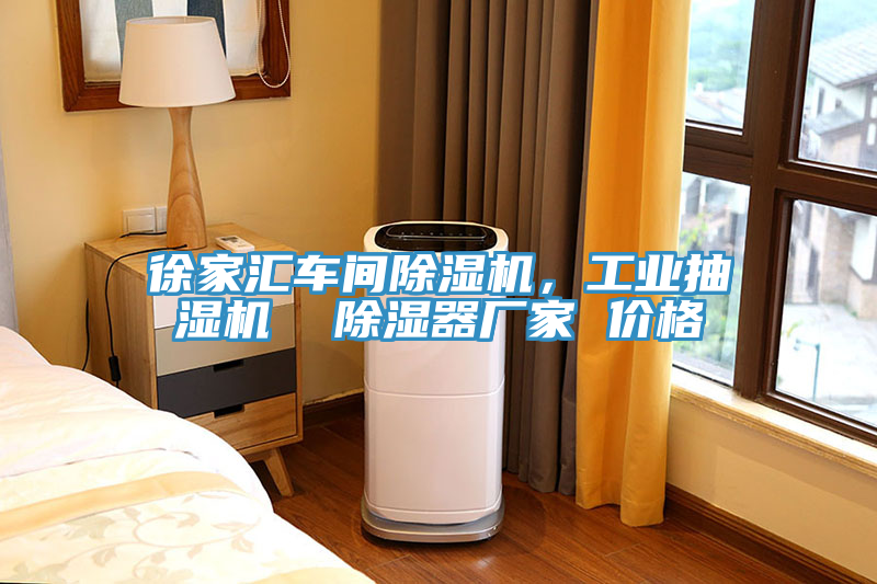 徐家匯車間除濕機(jī)，工業(yè)抽濕機(jī)  除濕器廠家 價(jià)格