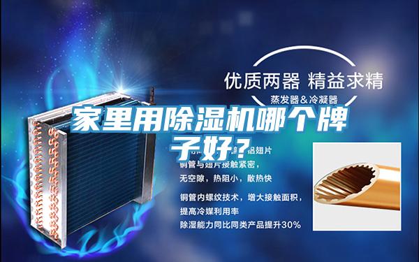 家里用除濕機(jī)哪個牌子好？