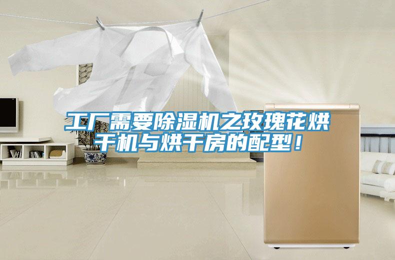 工廠需要除濕機之玫瑰花烘干機與烘干房的配型！