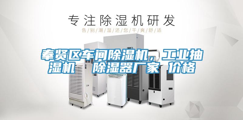 奉賢區(qū)車間除濕機，工業(yè)抽濕機  除濕器廠家 價格
