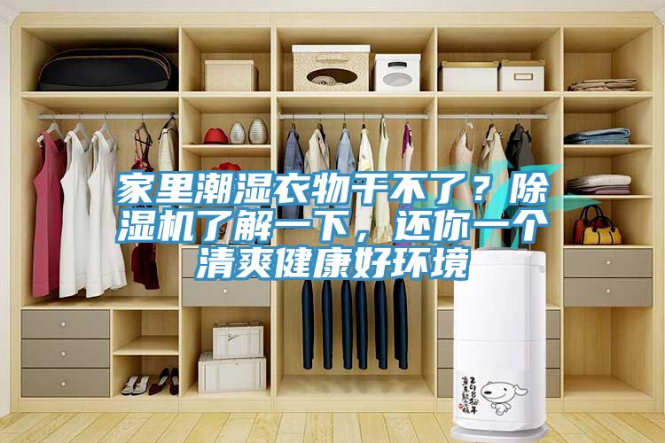 家里潮濕衣物干不了？除濕機(jī)了解一下，還你一個清爽健康好環(huán)境