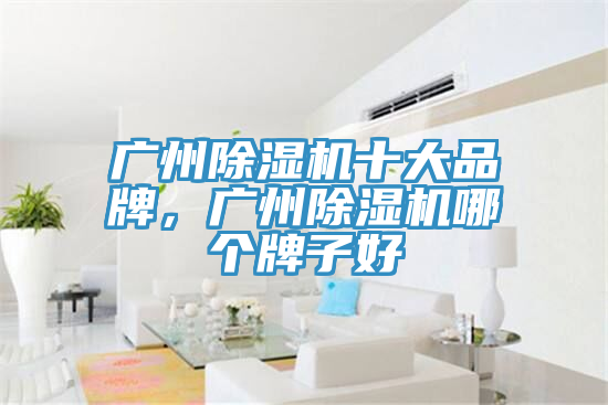 廣州除濕機(jī)十大品牌，廣州除濕機(jī)哪個(gè)牌子好