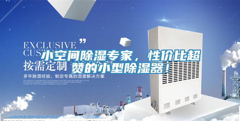 小空間除濕專家，性價比超贊的小型除濕器！