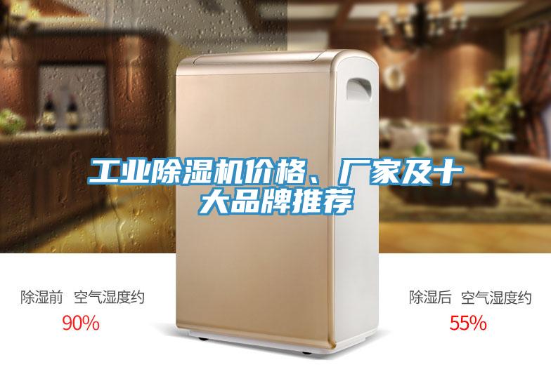 工業(yè)除濕機(jī)價(jià)格、廠家及十大品牌推薦