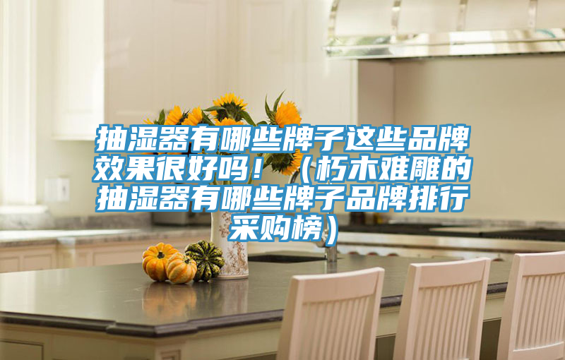 抽濕器有哪些牌子這些品牌效果很好嗎?。ㄐ嗄倦y雕的抽濕器有哪些牌子品牌排行采購(gòu)榜）