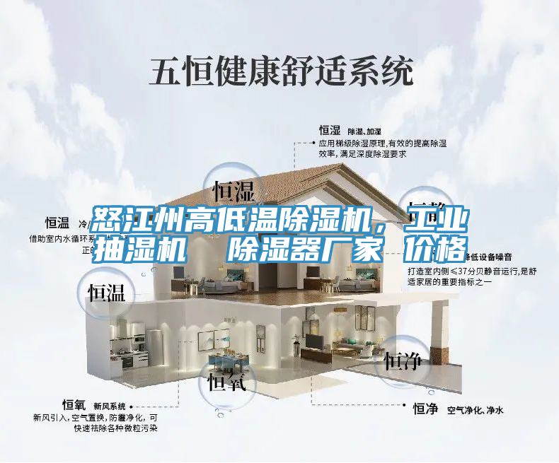 怒江州高低溫除濕機，工業(yè)抽濕機  除濕器廠家 價格