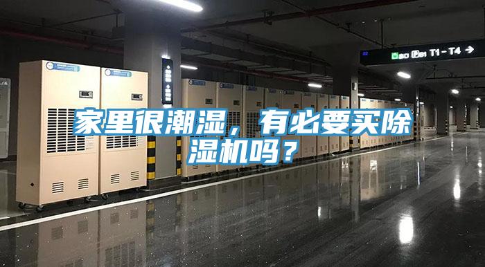 家里很潮濕，有必要買除濕機嗎？