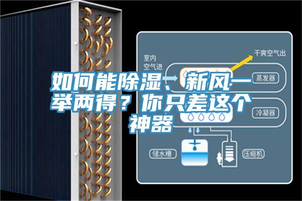 如何能除濕、新風(fēng)一舉兩得？你只差這個(gè)神器
