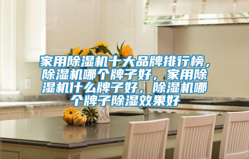 家用除濕機(jī)十大品牌排行榜，除濕機(jī)哪個(gè)牌子好，家用除濕機(jī)什么牌子好，除濕機(jī)哪個(gè)牌子除濕效果好