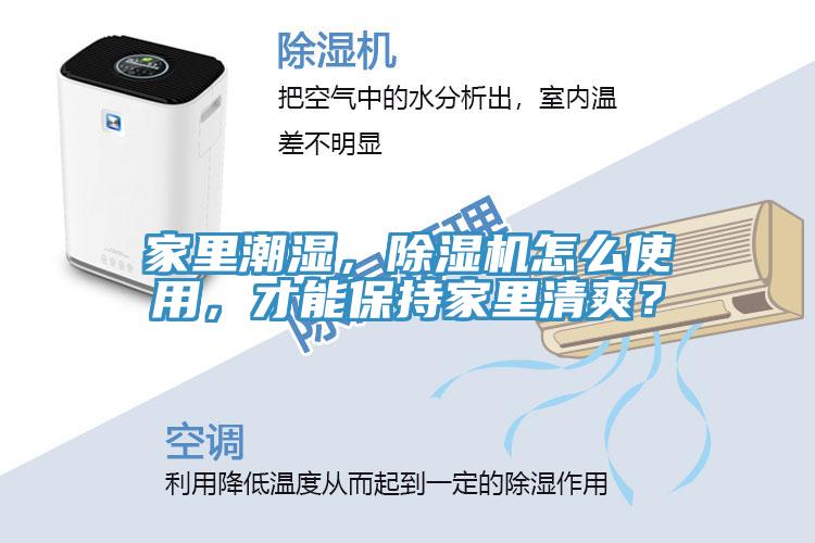 家里潮濕，除濕機(jī)怎么使用，才能保持家里清爽？