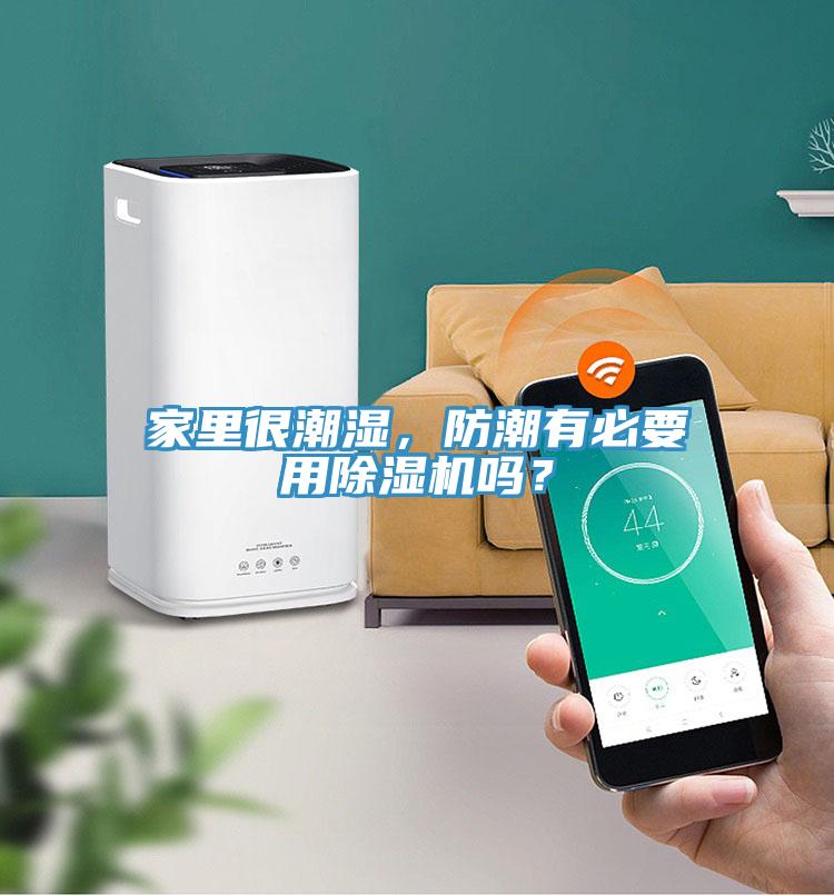 家里很潮濕，防潮有必要用除濕機嗎？