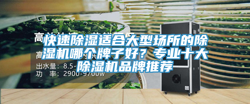 快速除濕適合大型場所的除濕機(jī)哪個牌子好？專業(yè)十大除濕機(jī)品牌推薦