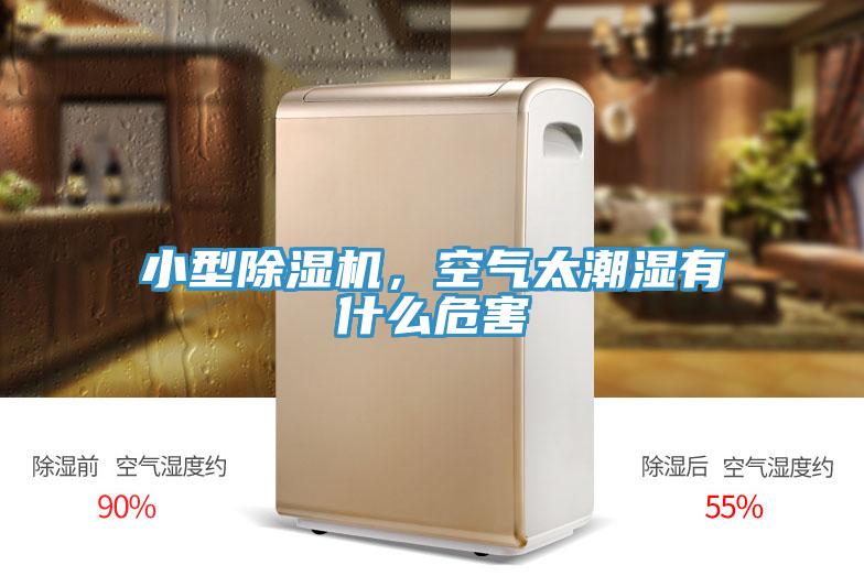 小型除濕機，空氣太潮濕有什么危害