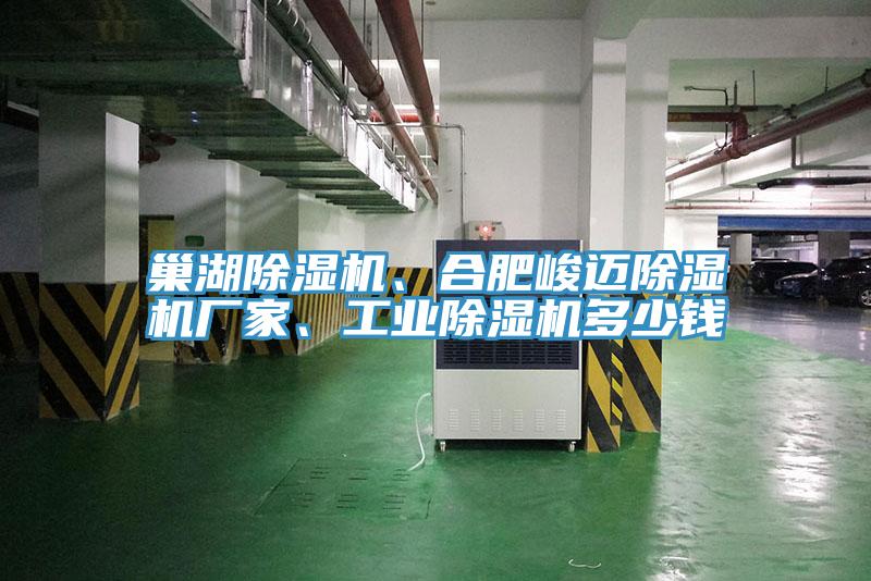 巢湖除濕機(jī)、合肥峻邁除濕機(jī)廠家、工業(yè)除濕機(jī)多少錢