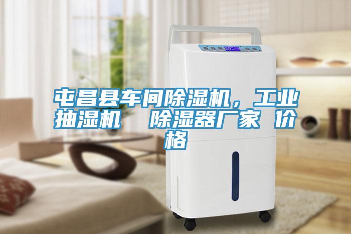 屯昌縣車間除濕機(jī)，工業(yè)抽濕機(jī)  除濕器廠家 價(jià)格