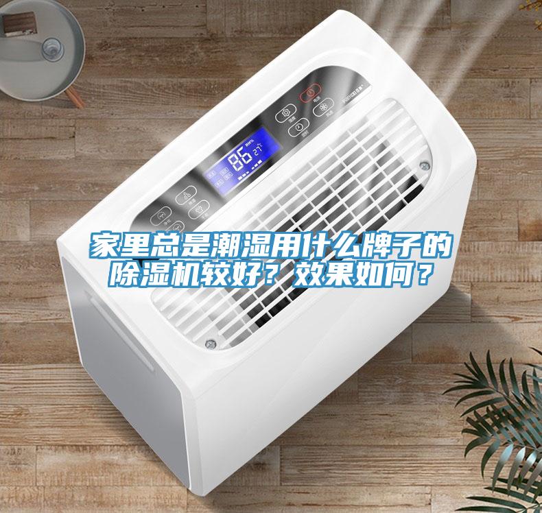 家里總是潮濕用什么牌子的除濕機較好？效果如何？