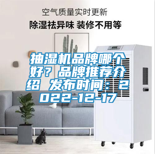 抽濕機(jī)品牌哪個好？品牌推薦介紹 發(fā)布時間：2022-12-17