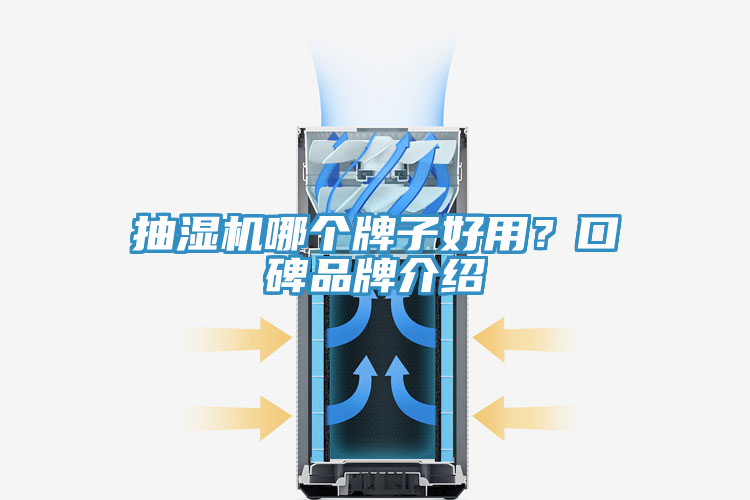 抽濕機哪個牌子好用？口碑品牌介紹