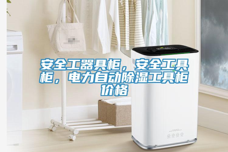 安全工器具柜，安全工具柜，電力自動(dòng)除濕工具柜價(jià)格