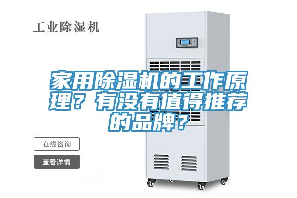 家用除濕機的工作原理？有沒有值得推薦的品牌？