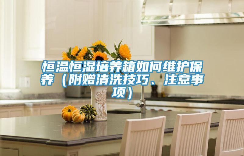 恒溫恒濕培養(yǎng)箱如何維護(hù)保養(yǎng)（附贈(zèng)清洗技巧、注意事項(xiàng)）
