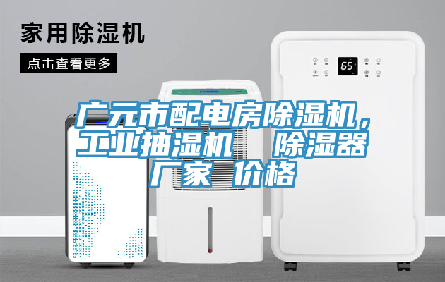 廣元市配電房除濕機(jī)，工業(yè)抽濕機(jī)  除濕器廠家 價(jià)格
