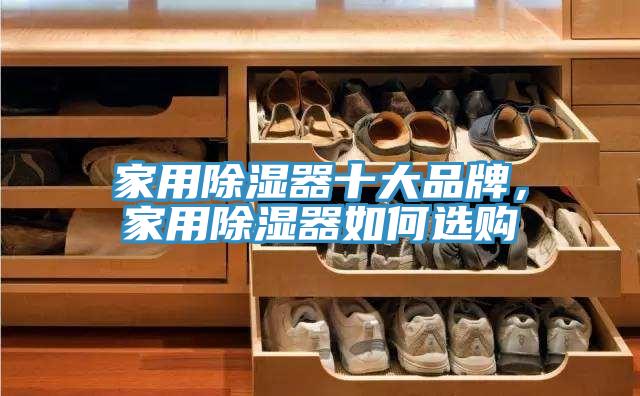 家用除濕器十大品牌，家用除濕器如何選購(gòu)